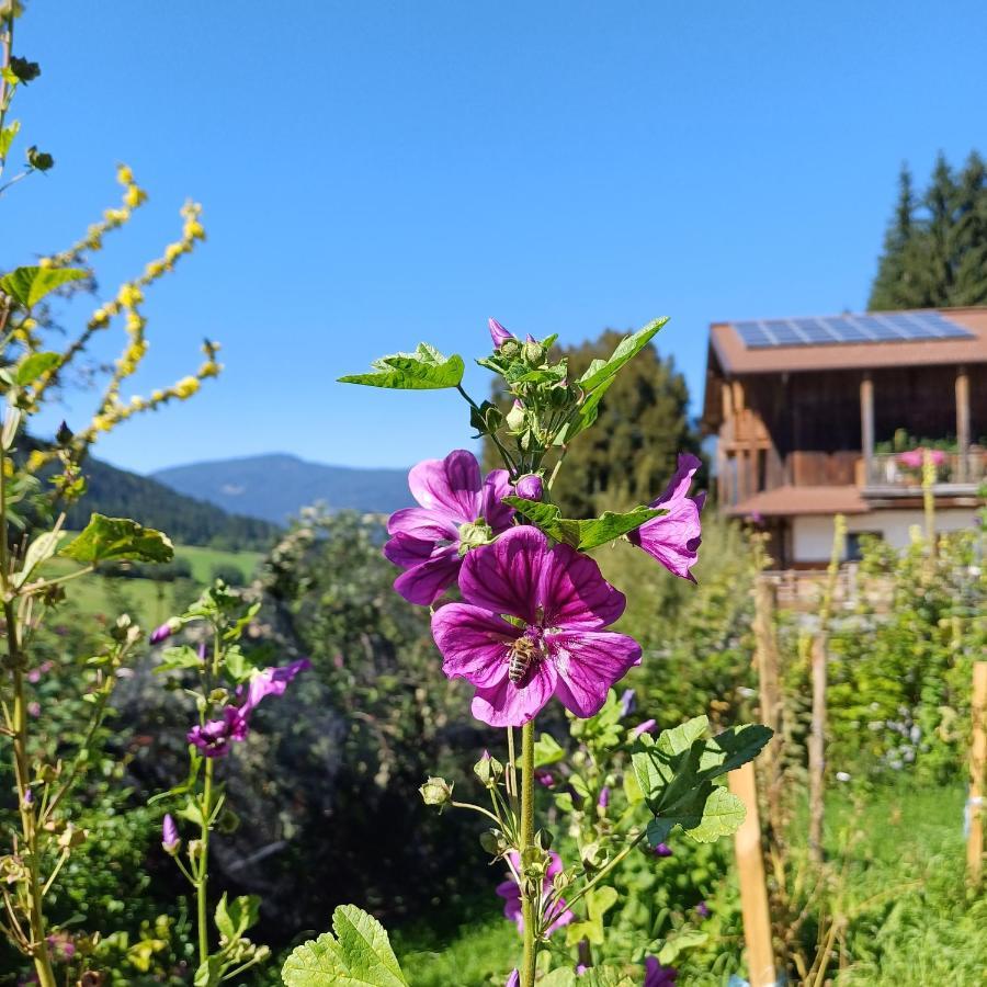Hotel Tiny House Am Steinergut à Radstadt Extérieur photo